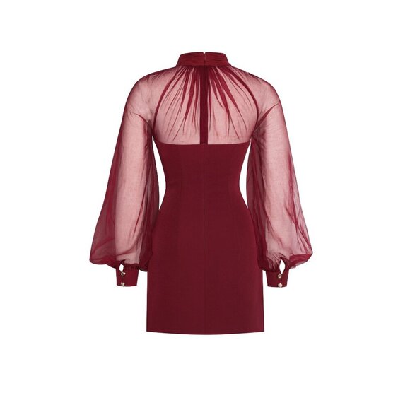 Tabi Red Mesh Sleeve Mini Dress - Picture 15 of 16